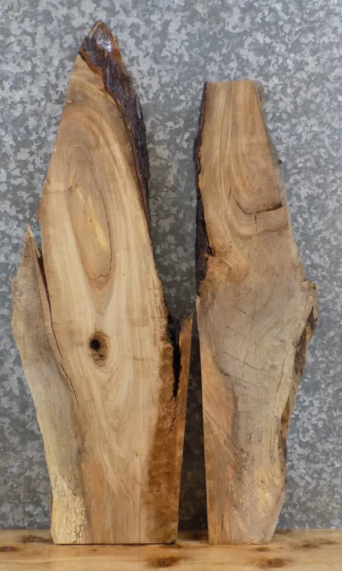 2- Rustic Live Edge Spalted Maple Wall Shelf/Epoxy Wood Slabs 4177-4178