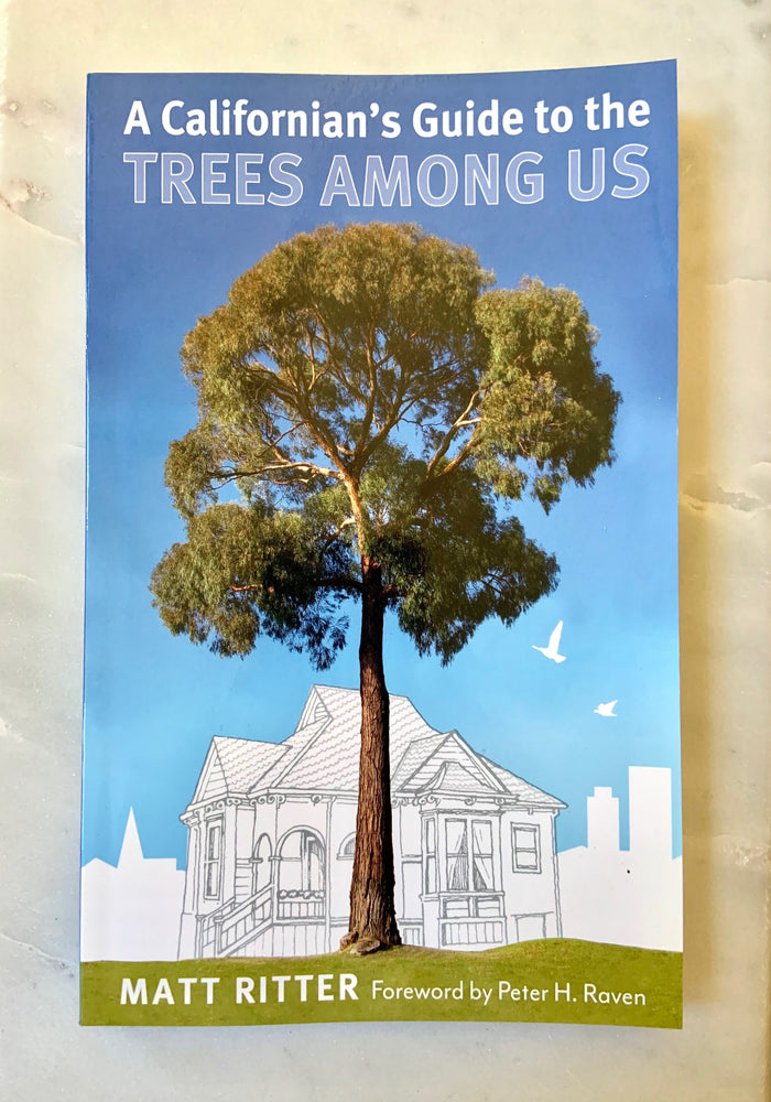 A Californian's Guide to the Trees Among Us