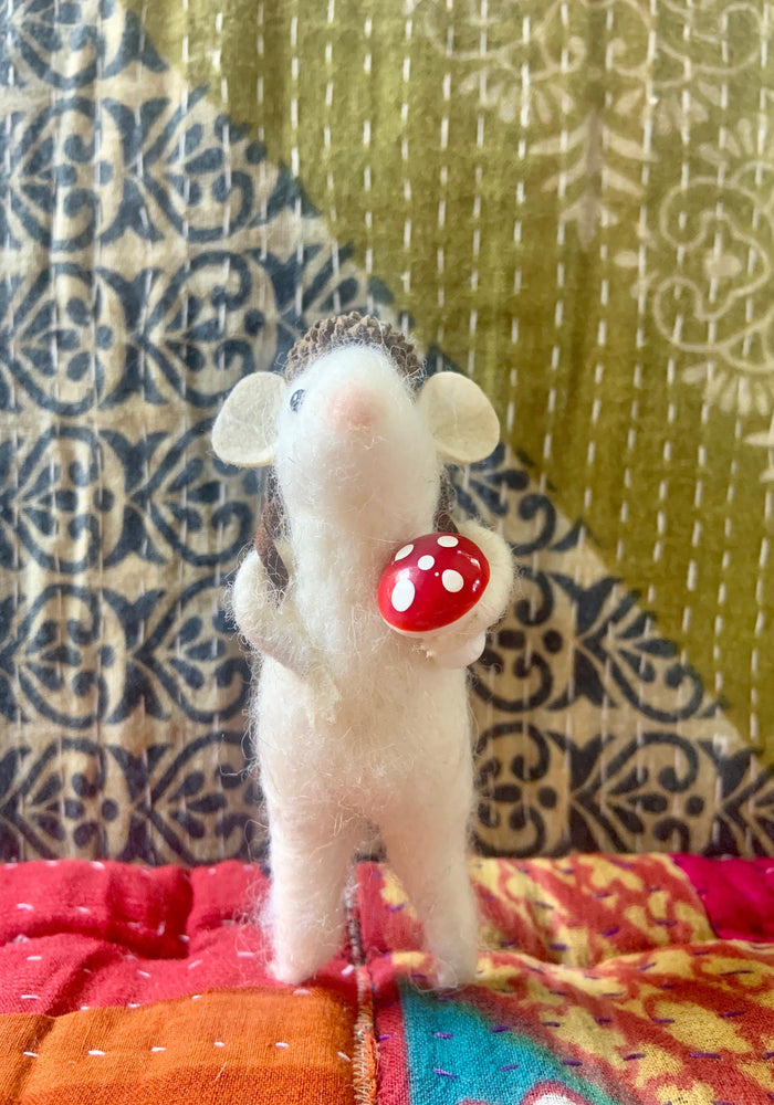 Adventure Mouse