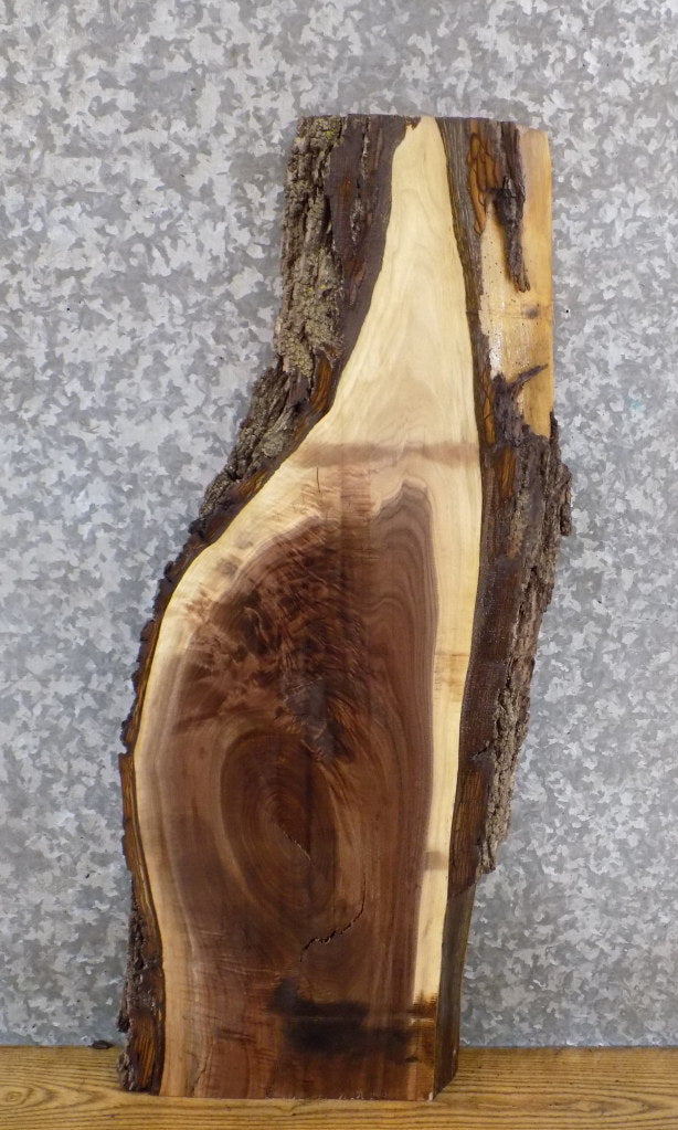 Black Walnut Live Edge Bark Salvaged Side/Entry Table Top Slab 1838