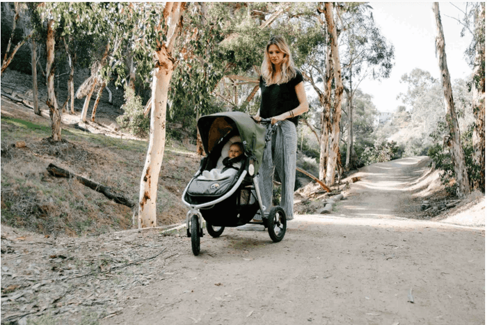 Bumbleride Organic Baby Stroller with Sunshade and Organic Cotton Infant Insert
