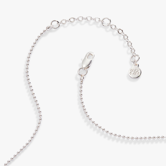 Capricorn Zodiac Double-Sided Charm Necklace