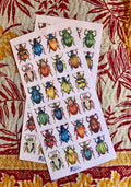 Colorful Beetle Stickers