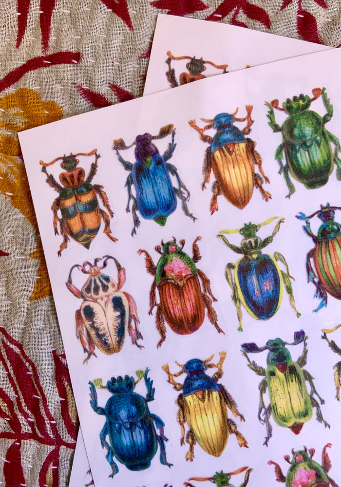 Colorful Beetle Stickers