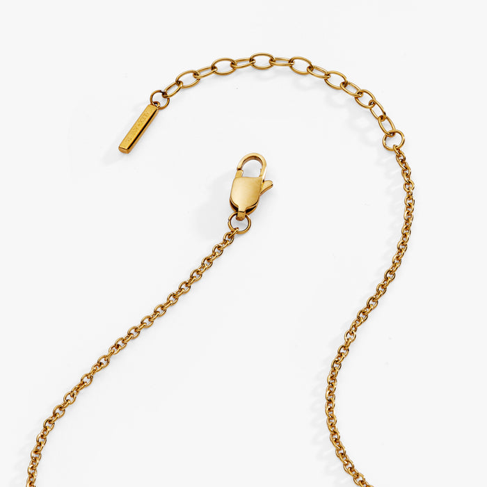 Stainless Steel Gold