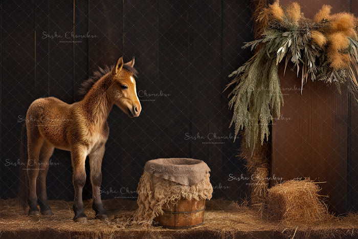 Digital  Backdrop Ai generated