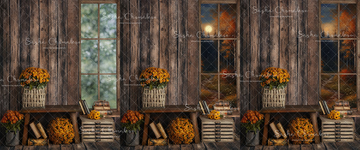 Digital  Backdrop