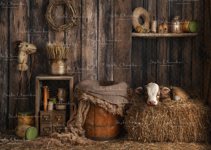 Digital  Backdrop
