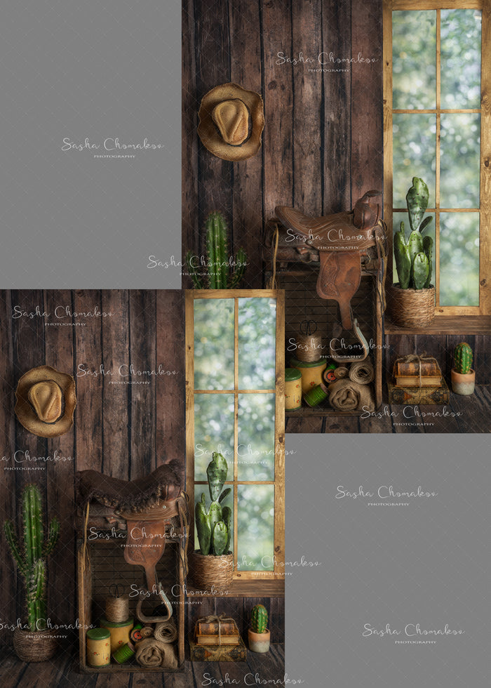 Digital  Backdrop