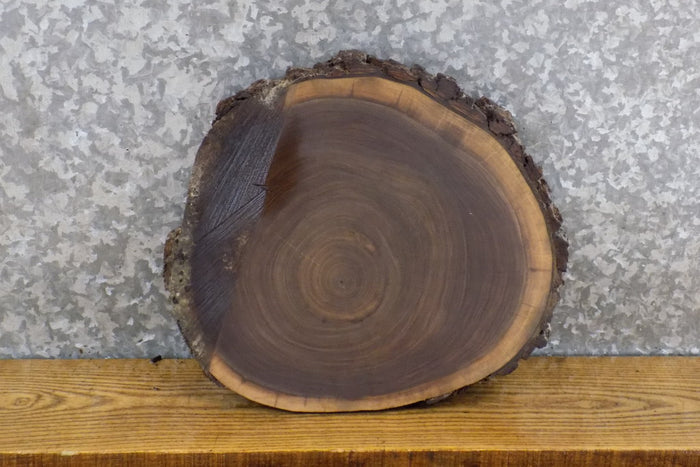 DIY Live Edge Black Walnut Round Cut Charcuterie Board/Slab 6806
