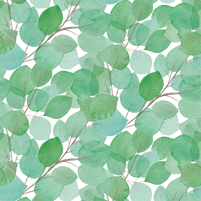 Eucalyptus Wrapping Paper