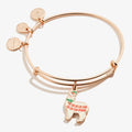 Shiny Rose Gold