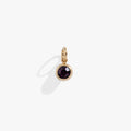 February Birthstone Interchangeable Charm