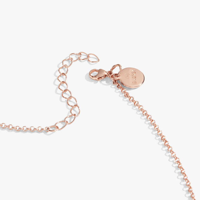 Shiny Rose Gold