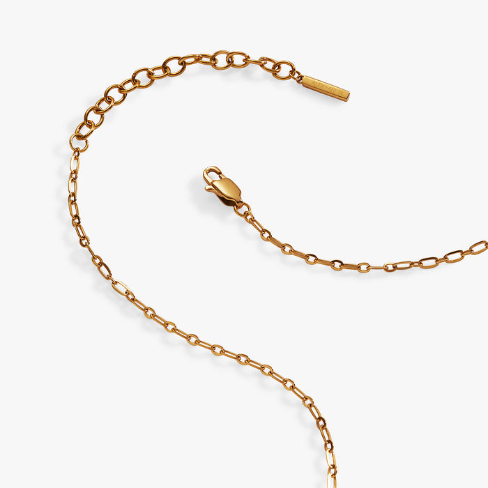 Stainless Steel Gold