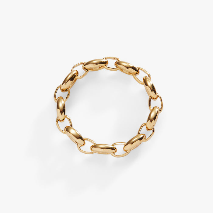Frozen Mariner Chain Ring