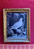 Gloria Frame