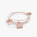 Shiny Rose Gold