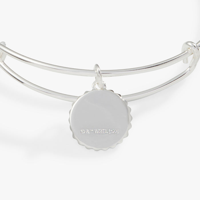 Harry Potter™ Slytherin House Charm Bangle