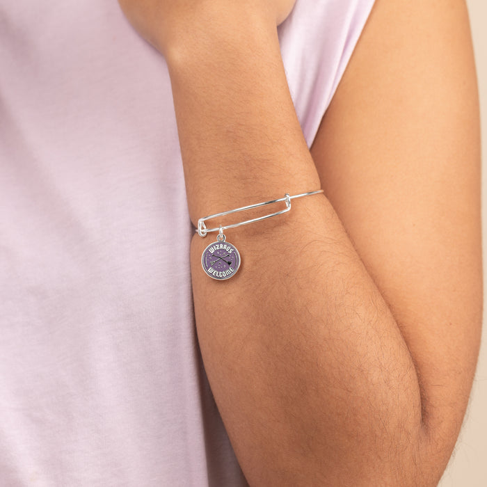 Shiny Silver
