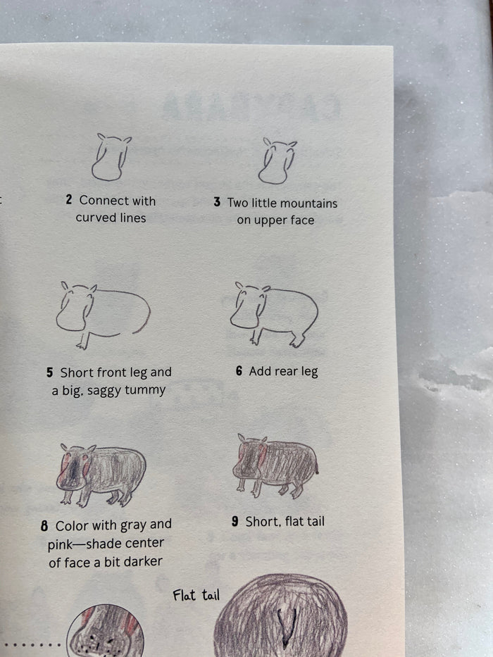 How to Draw Almost Every Animal: An Illustrated Sourcebook