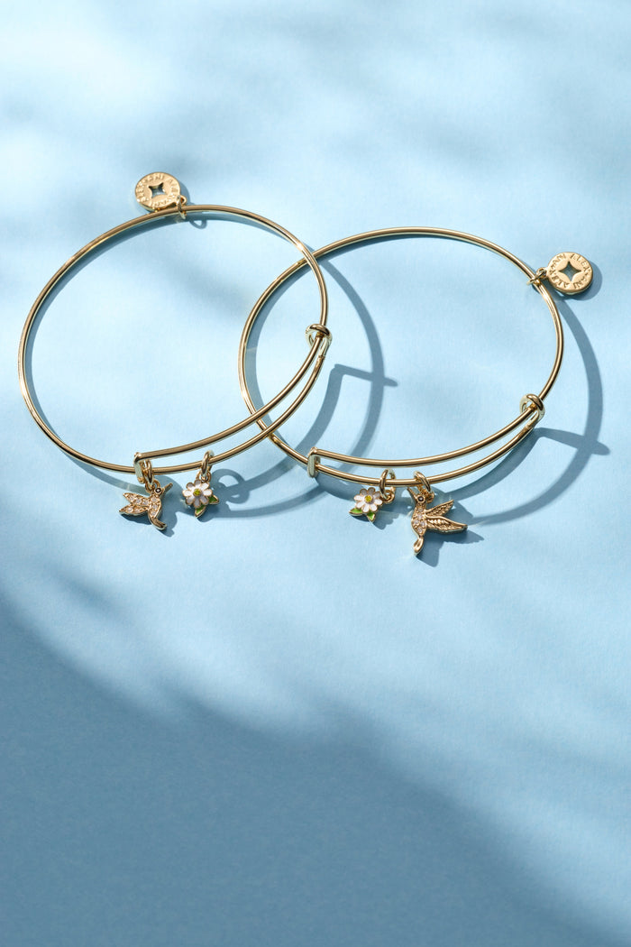 Hummingbird ‘Birds of a Feather’ Classic Charm Bangle