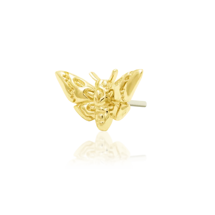 Junipurr Jewelry Deaths-head Moth