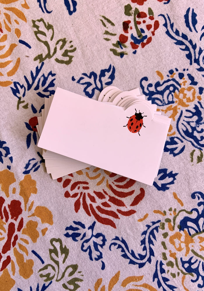 Ladybug Place Cards