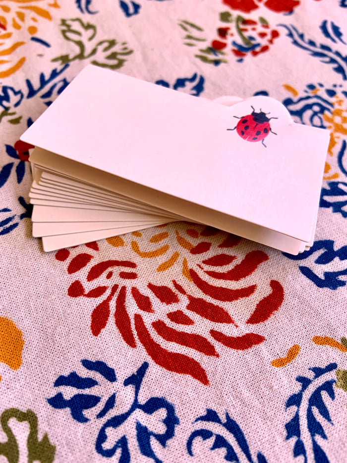 Ladybug Place Cards