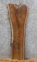 Live Edge Black Walnut Mantel/Accent Table Top Slab 1671