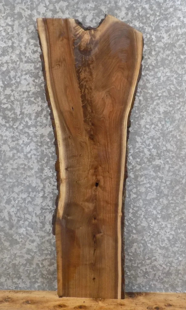 Live Edge Black Walnut Mantel/Accent Table Top Slab 1671