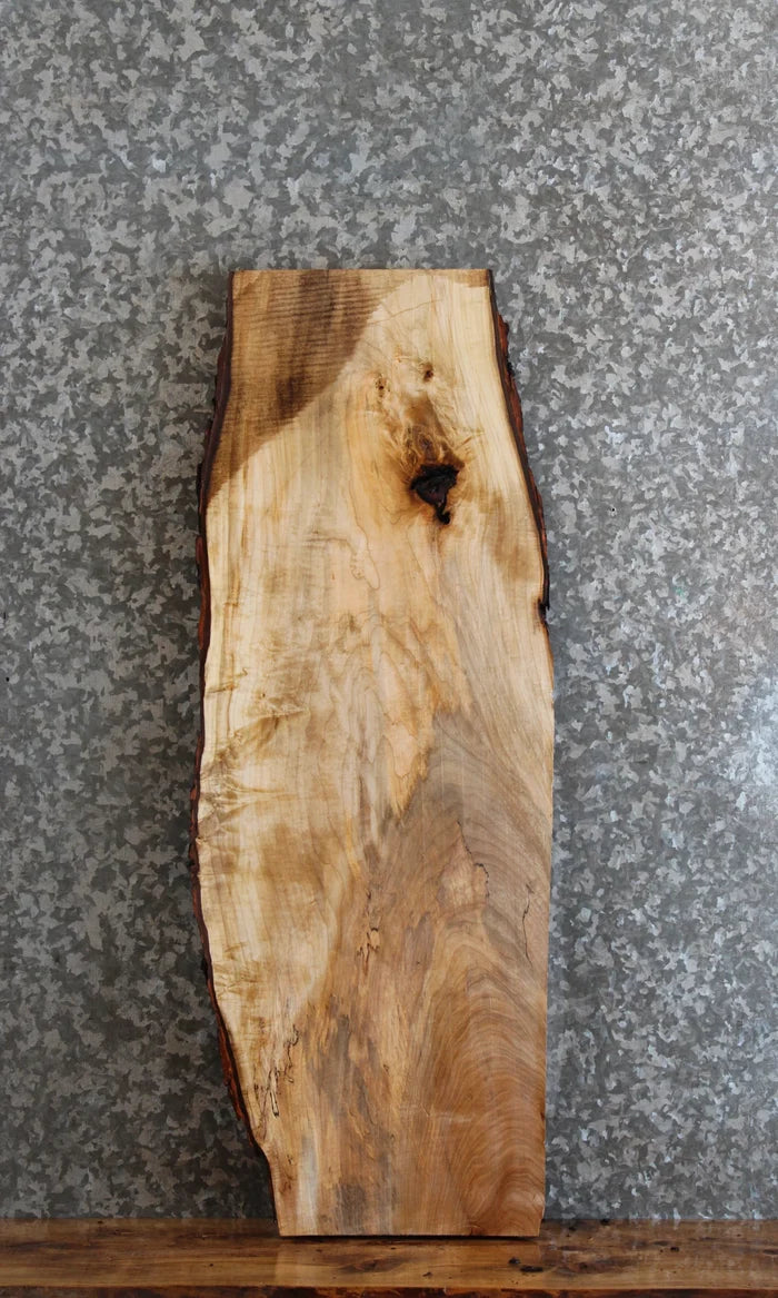 Live Edge Maple Sofa/Side Table Top/Wall Shelf 4227