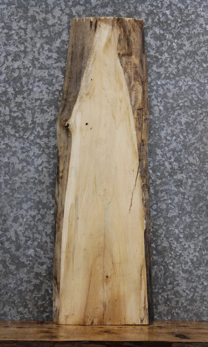 Live Edge Maple Sofa/Side Table Top/Wall Shelf 4263
