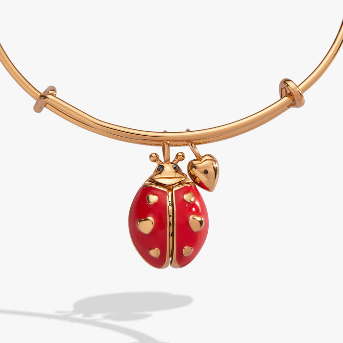 'Make Your Own Luck' Ladybug Charm Bangle