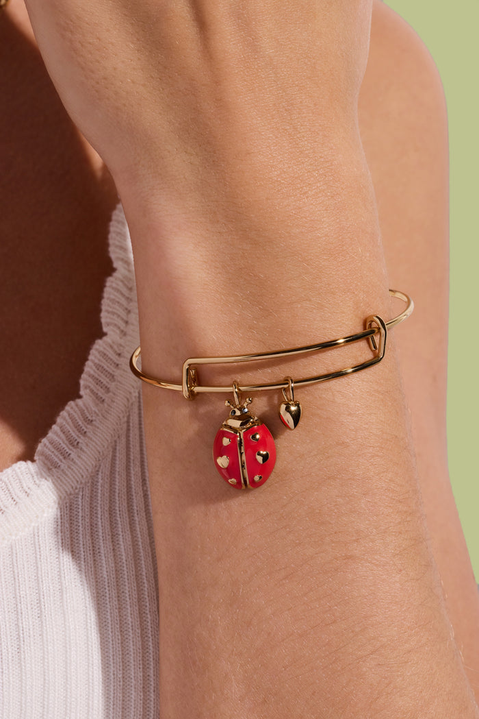 'Make Your Own Luck' Ladybug Charm Bangle