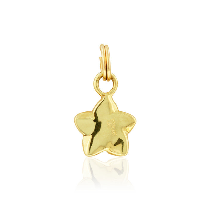 Medium Plumeria Charm - Philip Rickard