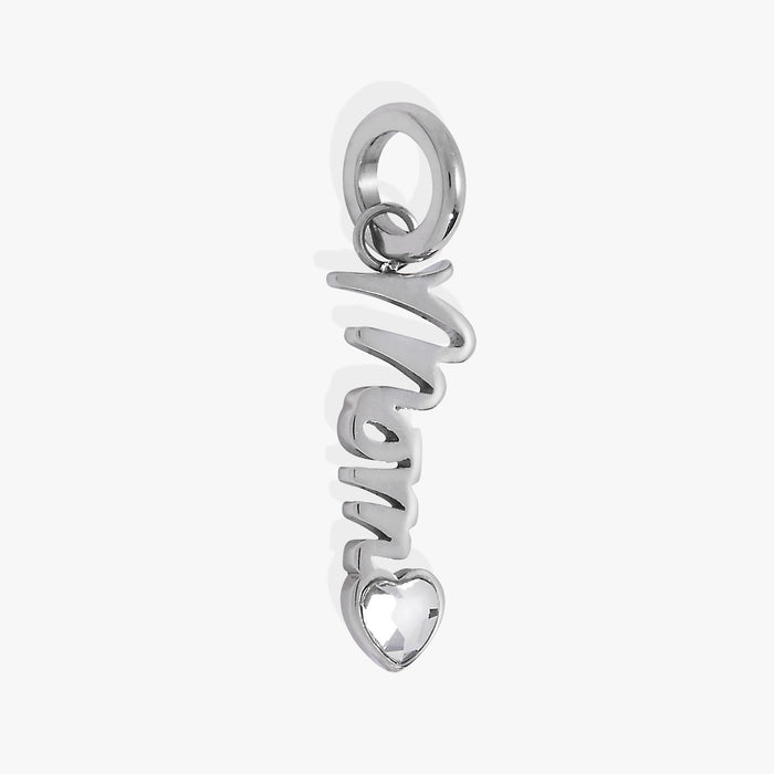 Stainless Steel Silver