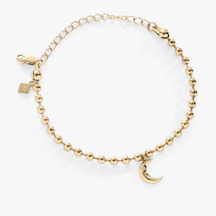 Stainless Steel Gold