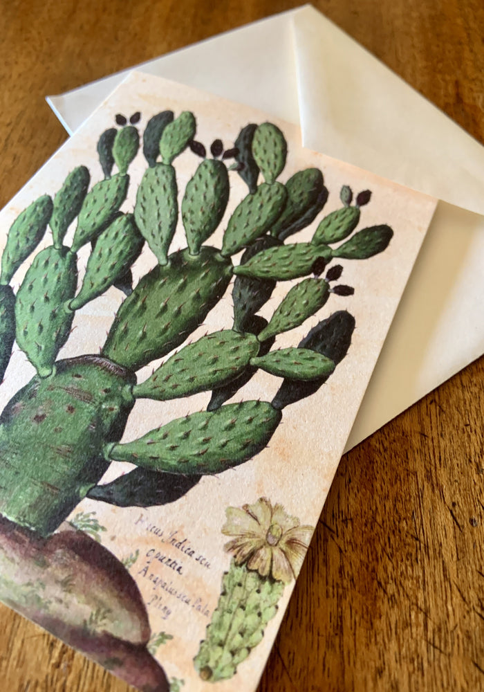 Nopal Card