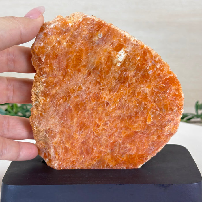 Orchid Calcite Polished Slice with Rough Edges, Wood Base 5.8" Tall #6100OC-001