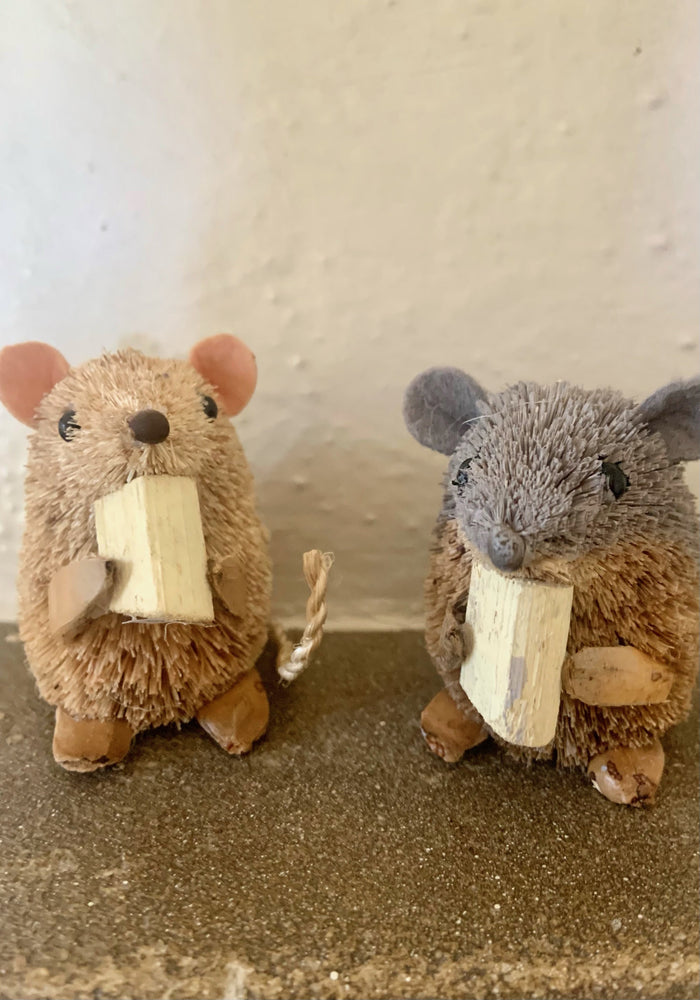 Pair of Hungry Mice