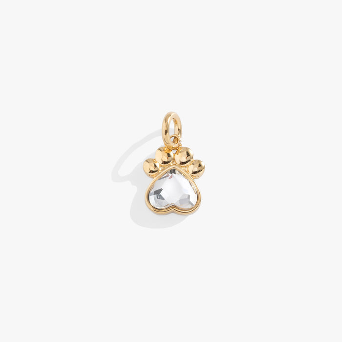 Pawsitively Yours Charm Bundle