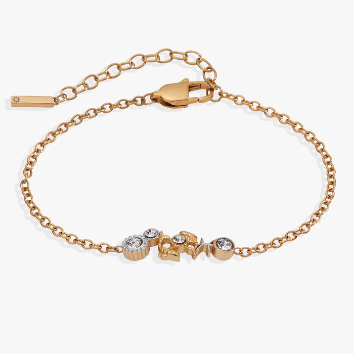 Two Tone - Stainless Steel