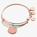 Shiny Rose Gold