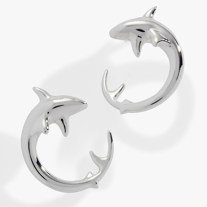 Stainless Steel Silver