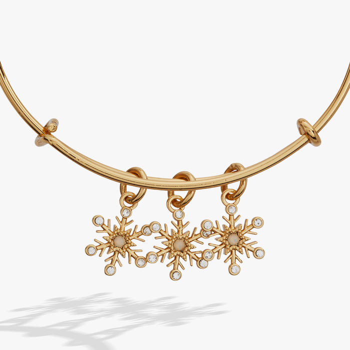 snowflake-multi-charm-bangle-2-AA1029725SG_3