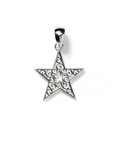 Southern Gates® Star Pendant