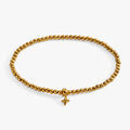 Stainless Steel Gold