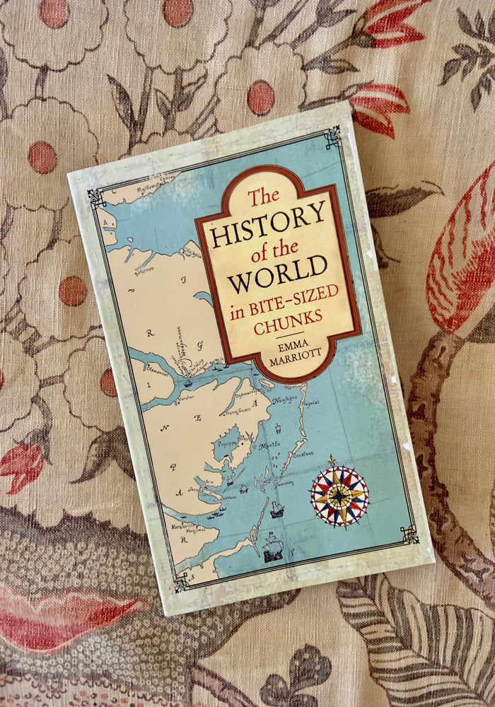 The History of the World in Bite-Sized Chunks