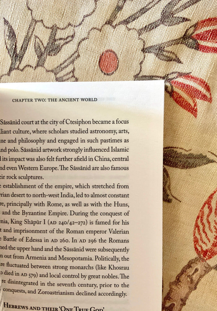 The History of the World in Bite-Sized Chunks